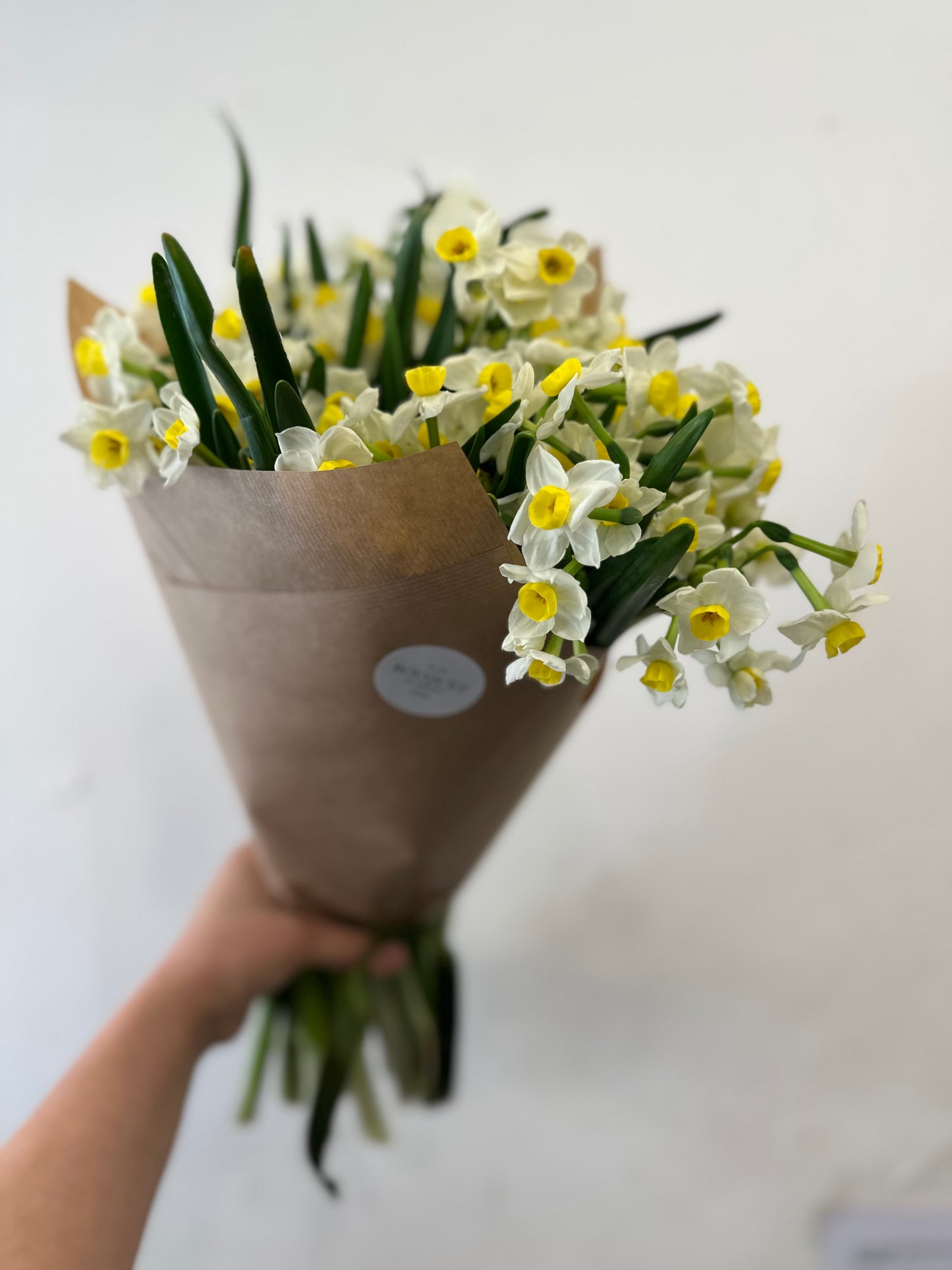 Just Narcissi