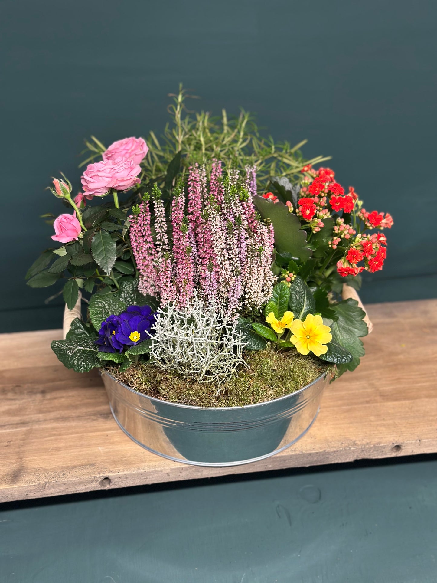 Christmas Planter £30 | £40