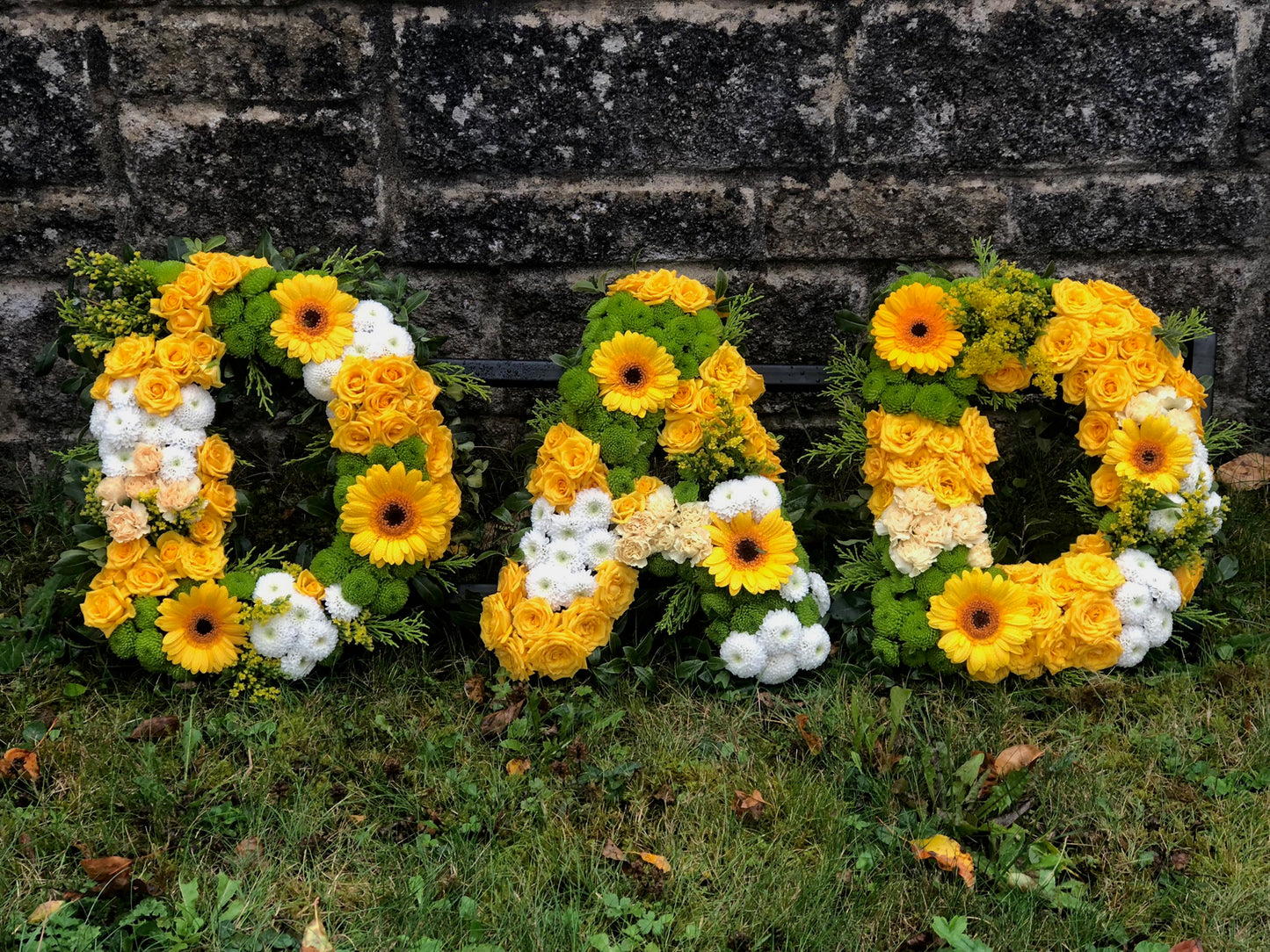 Letter Tributes