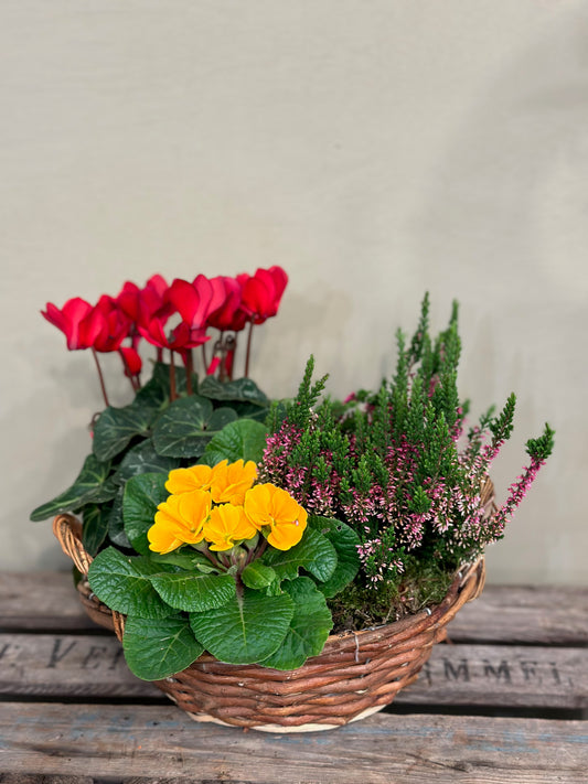 Outdoor Planter