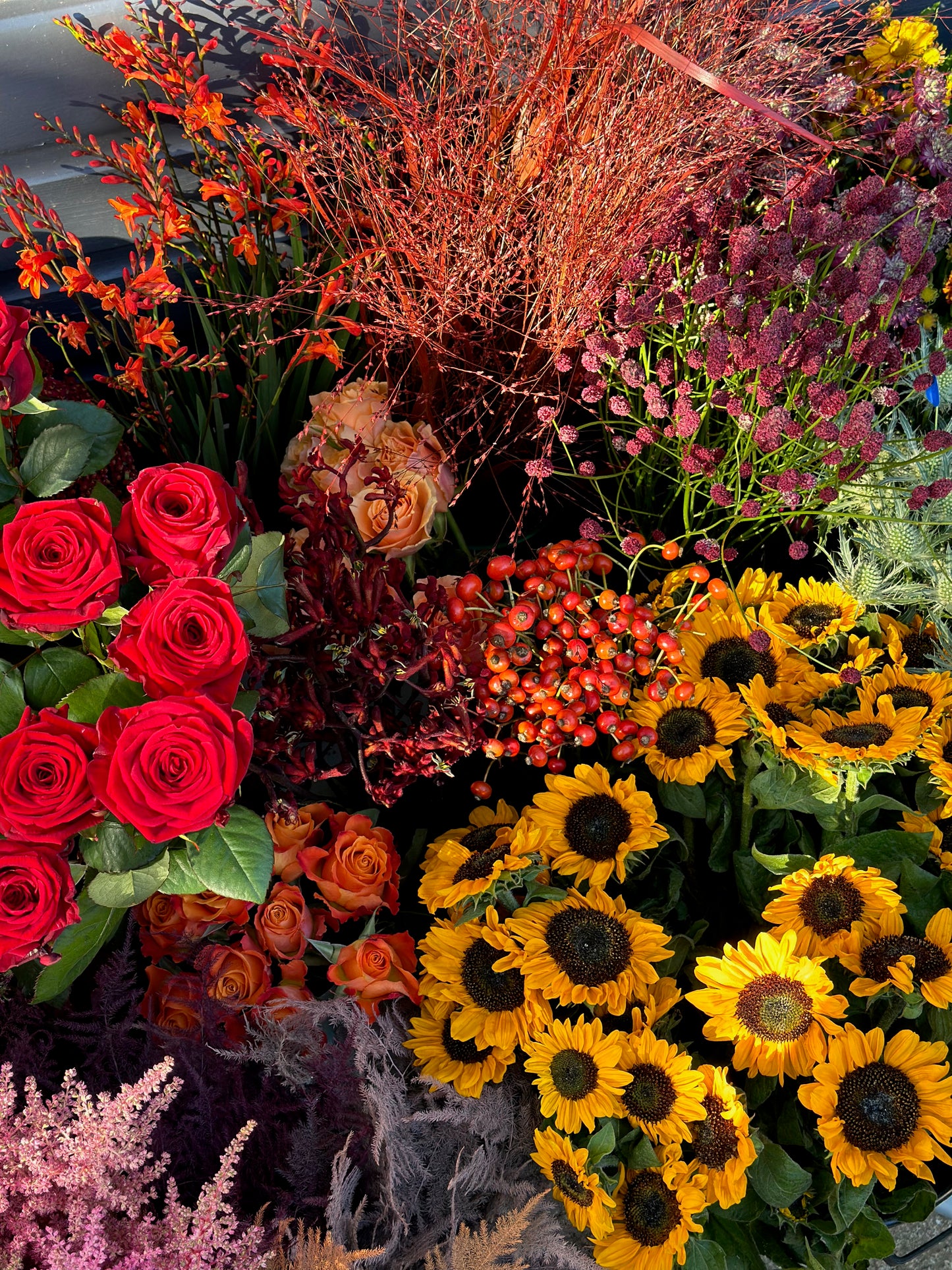 Autumn Flowers of the Day