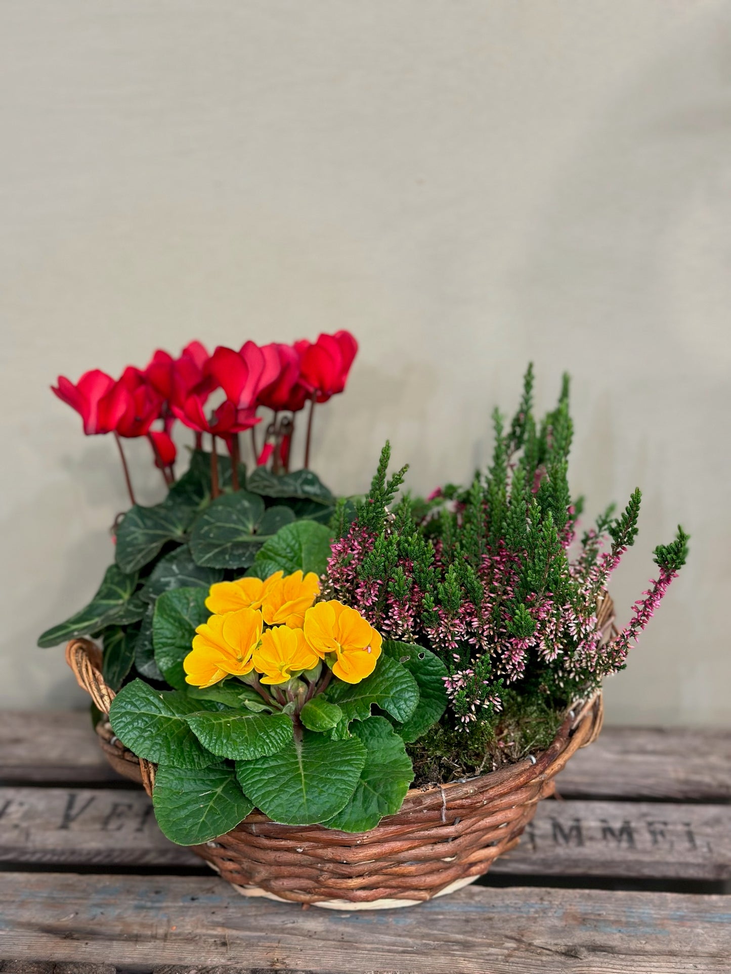 Christmas Planter