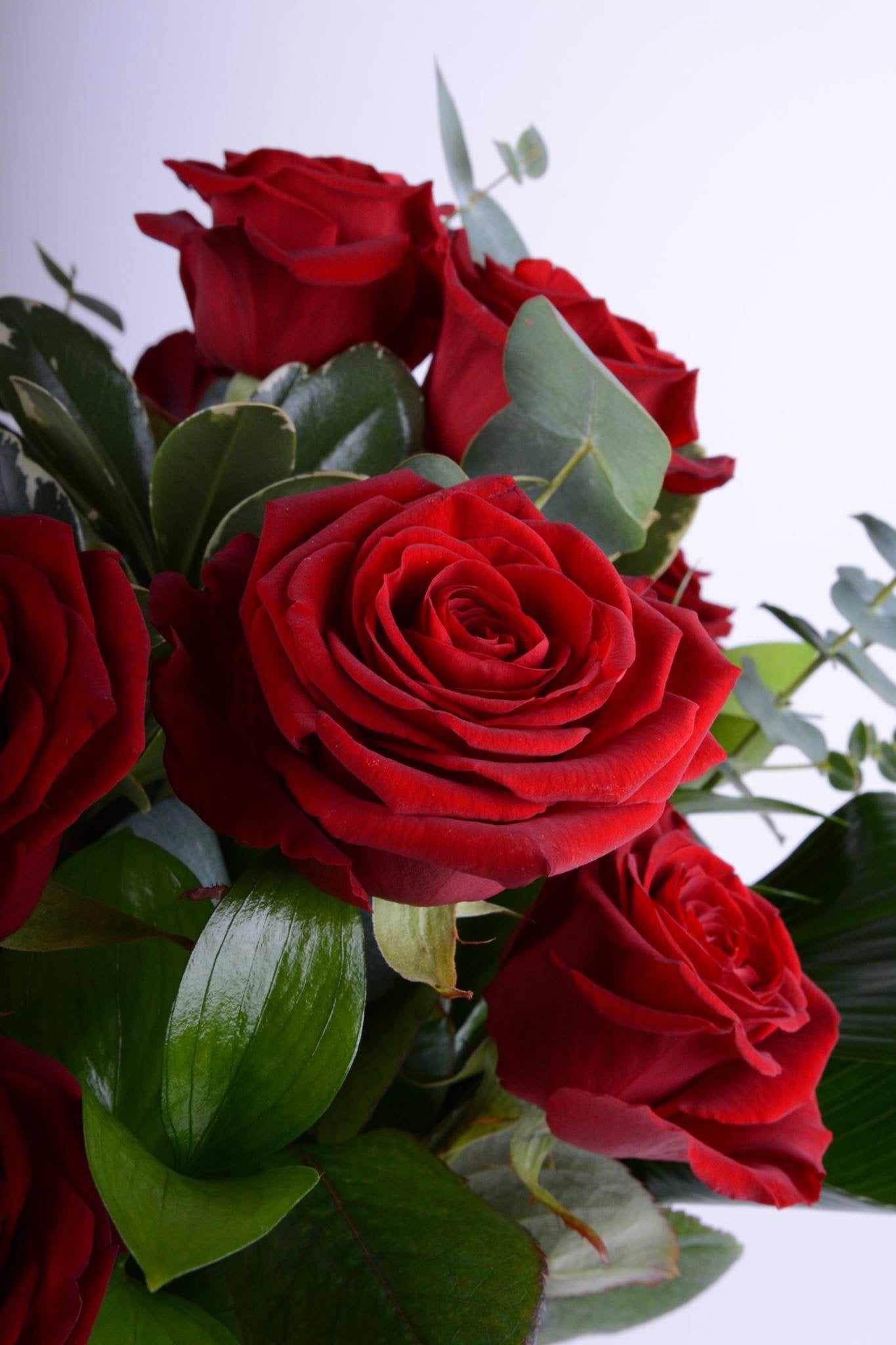 50 Red Roses Bouquet