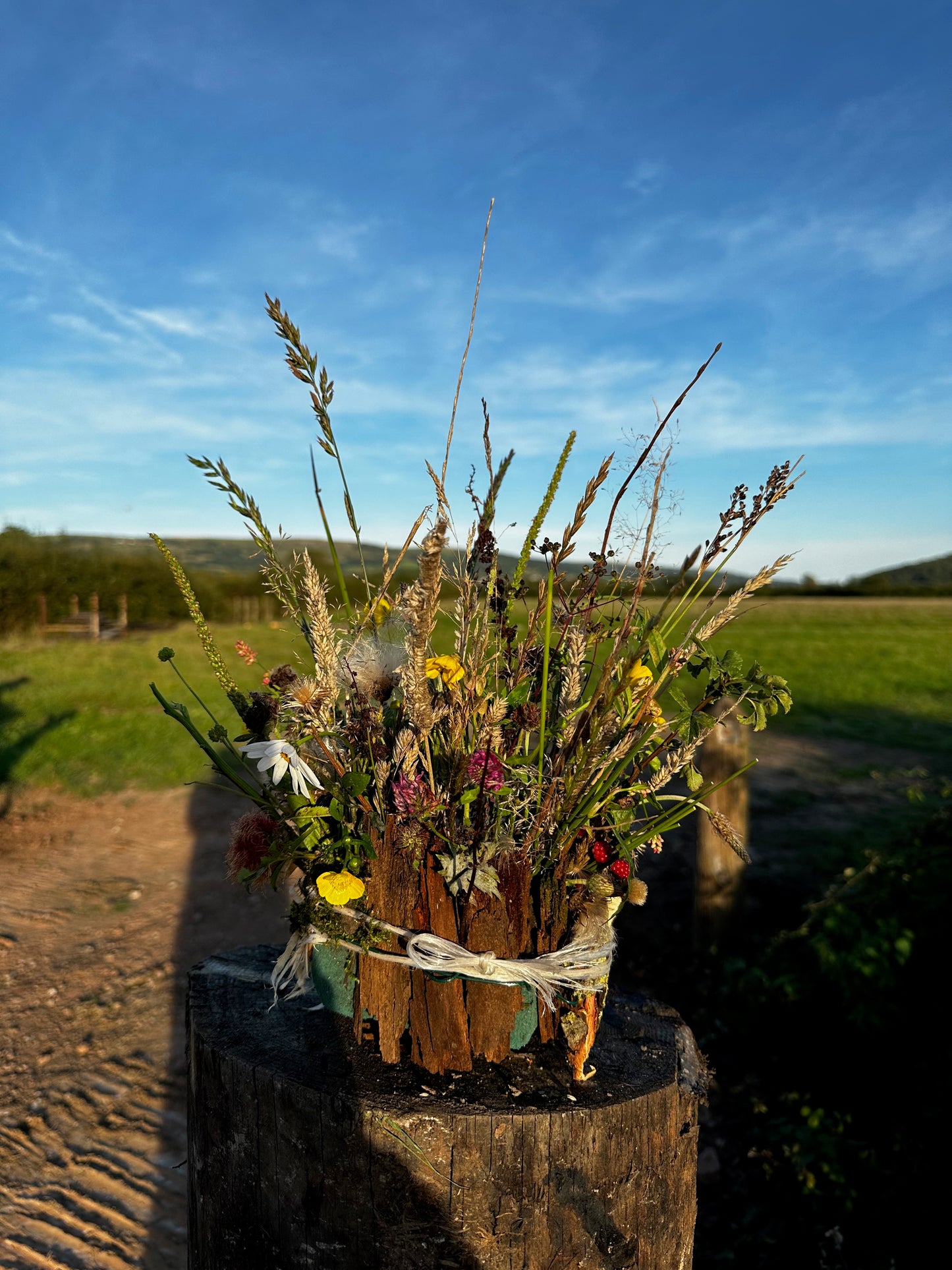 Jaspers Hedgerow Creations